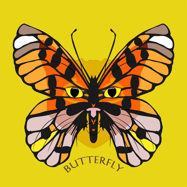 Wektor Motyla Kota Piękny Motyl Świat Zwierząt — Wektor stockowy