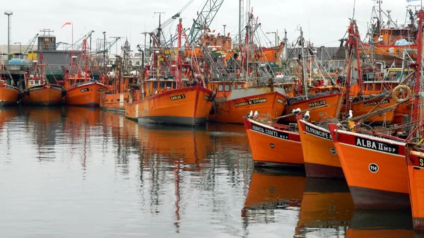 Fishing boats at Port of Mar del Plata — Stock Photo, Image