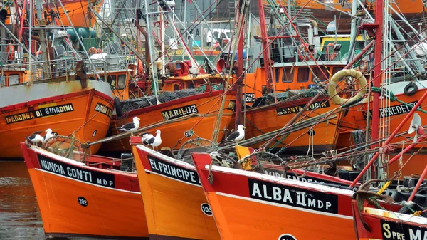balıkçı tekneleri, bağlantı noktası mar del plata