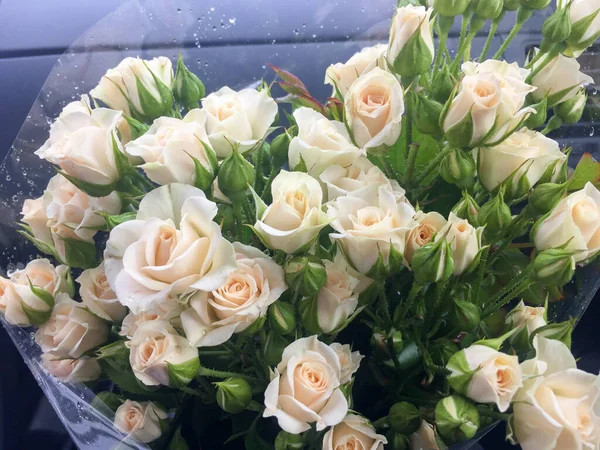 Bouquet de roses de pêchers, belles roses en fleurs — Photo