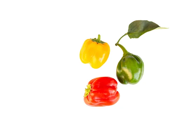 新鲜的甜椒 在白色背景上分离的胡椒 — 图库照片