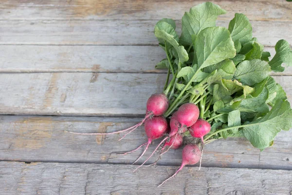 Radish Bunch Wooden Background Copy Space Top View — Stock Photo, Image