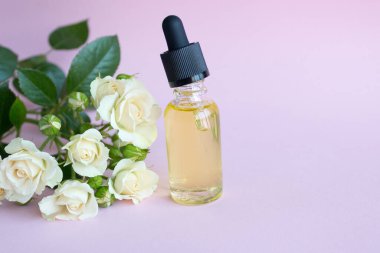 Glass dropper bottle. Cosmetic spa care. Tea rose essential oil. branch of white flowers
