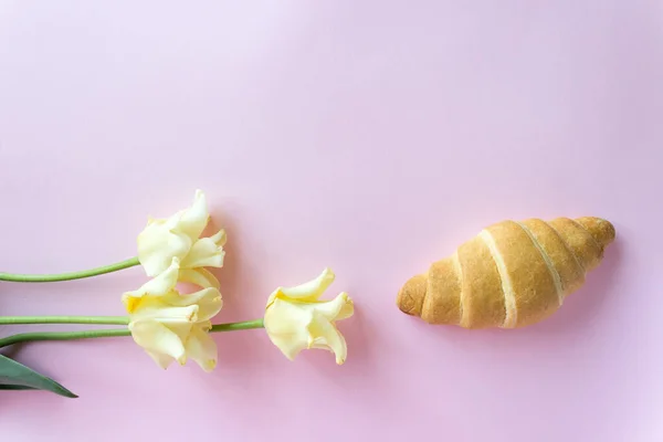 Pembe arka planda beyaz laleler ve kruvasan. Romantik kahvaltı kavramı. Boşluğu kopyala