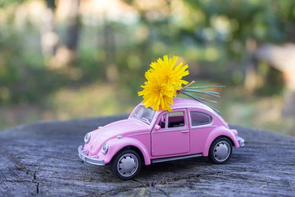 玩具粉色的车。有女车的浪漫明信片。送花的概念 — 图库照片#