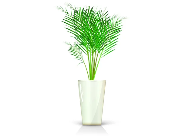 Бежевая ваза с пальмой — стоковый вектор