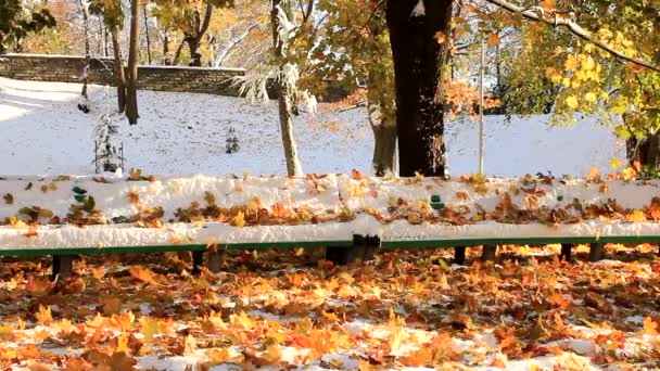 Снежная скамейка и опавшие листья — стоковое видео