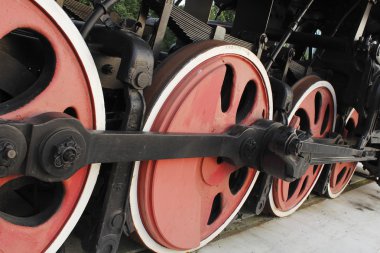 bir kupa tutan şirin birincil kız öğrenci