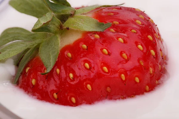Aardbeien in yoghurt — Stockfoto