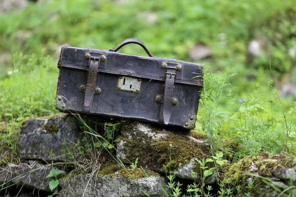 Carpetbag de couro velho — Fotografia de Stock