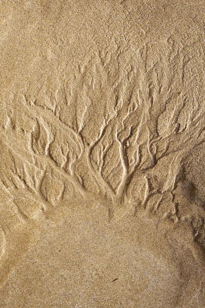 Zeichnungen am Strand — Stockfoto