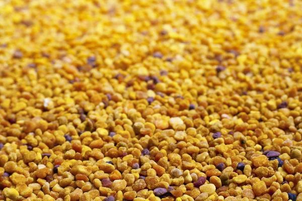 Concentrazione selettiva del grano di polline — Foto Stock