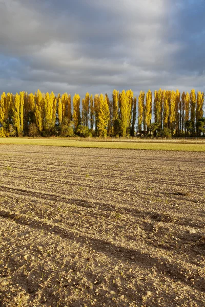 Herbst auf den Feldern — Stockfoto