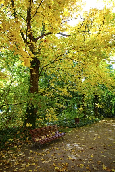 Herbst im Park — Stockfoto