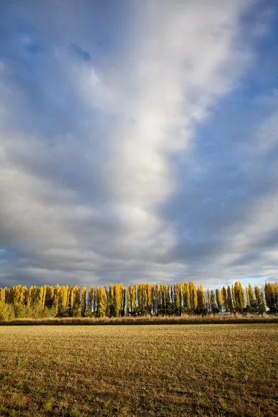 Fall at the Mall — Stock Photo, Image