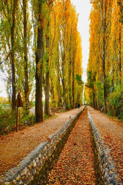 Sulama kanalı Güz — Stok fotoğraf