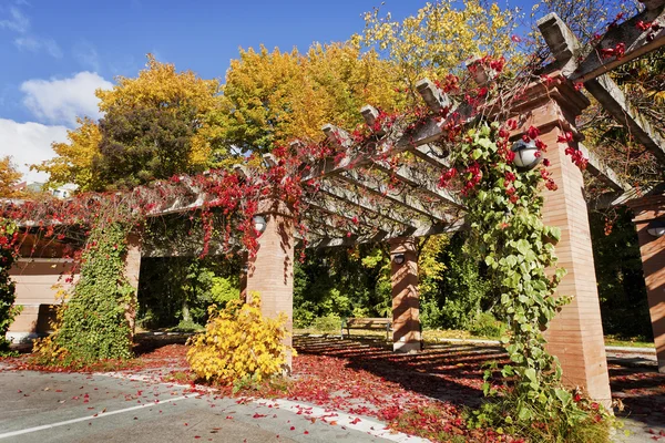 Betoverde tuin — Stockfoto