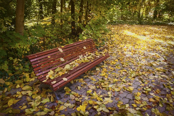 Einsame Bank im Herbst — Stockfoto