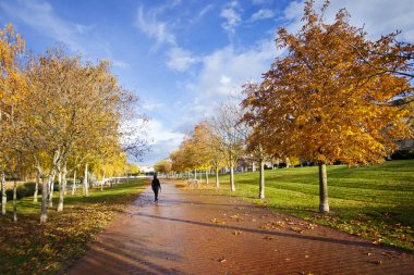 sonbahar günbatımı