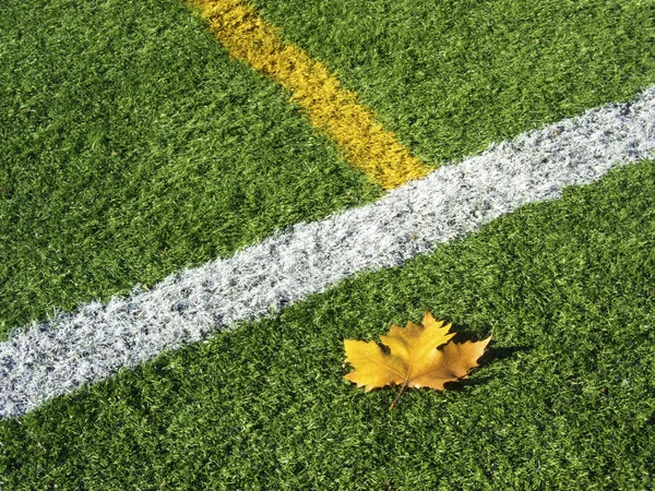 Campo de futebol — Fotografia de Stock