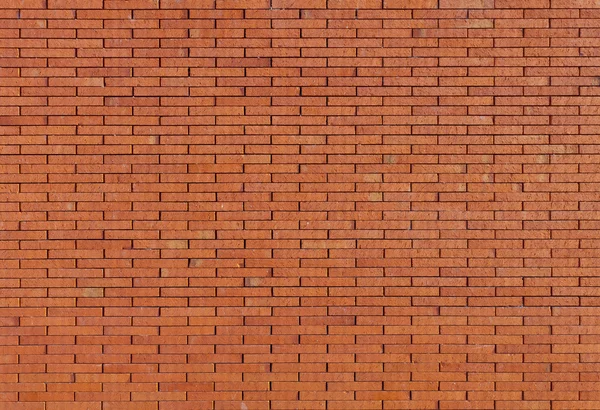 Without cement brick wall — Stock Photo, Image