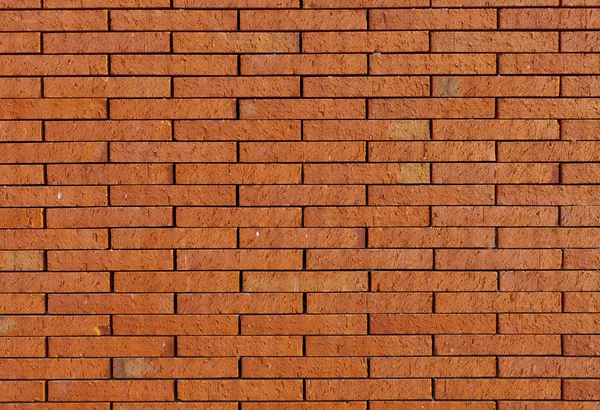 Without cement brick wall — Stock Photo, Image