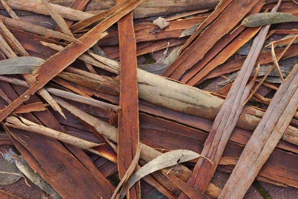 Achtergrond van de planten blijft — Stockfoto