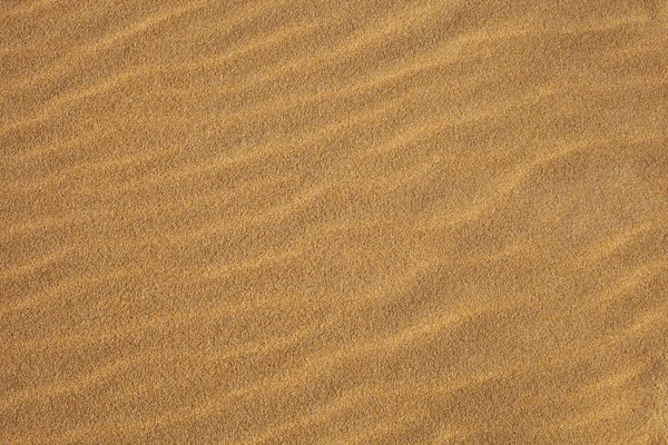 Kumda dalgalar — Stok fotoğraf