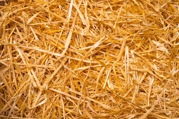 Straw Background — Stock Photo, Image