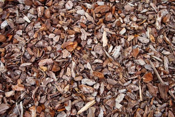 Trädet bark mulch — Stockfoto