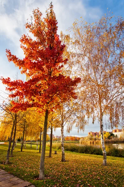 Sonbahar park lagoon — Stok fotoğraf