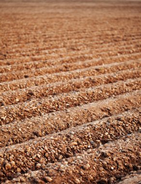 gozlerime sürülmüş bir alanın