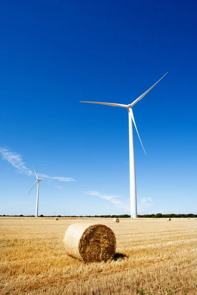 Rüzgar türbinleri ve tarım — Stok fotoğraf