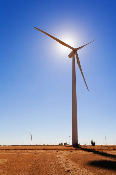 Wind Turbine Backliting — Stockfoto