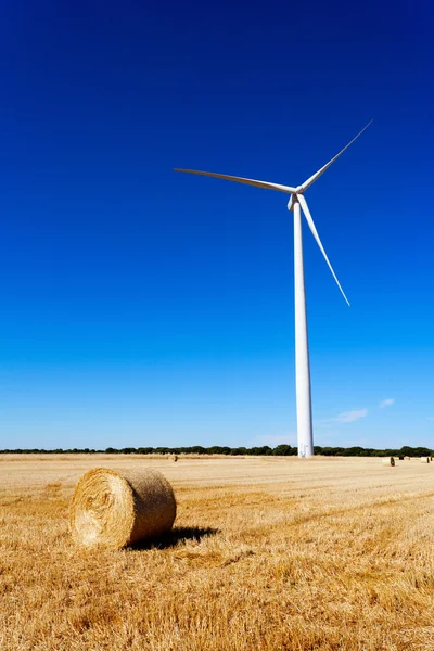 Rüzgar Türbini ve tahıl kırpma — Stok fotoğraf