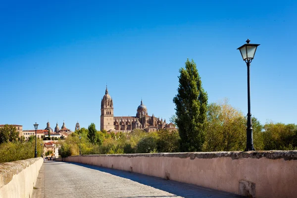View of Salamanca from the Roman bridge — Stock Photo, Image