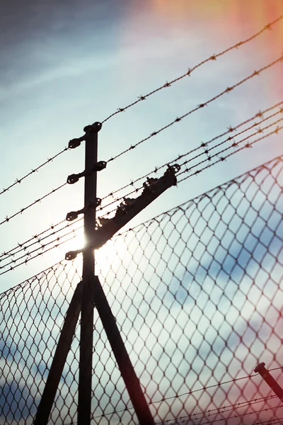 Fence netting in backlighting — Stock Photo, Image