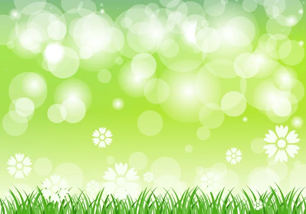 Spring Background — Stock Vector