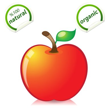 Kırmızı elma izole - vektör çizim