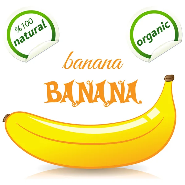 Banana - vector, illustration — Stock Vector