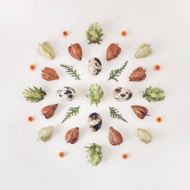 Küçük benekli bıldırcın yumurtalarından, ağaçtan ve bitki parçalarından yapılmış yuvarlak doğal dekorasyon. Sonbahar dekoratif mandala. 