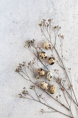 Kırsal arka planda kuru bitkilerle süslenmiş benekli bıldırcın yumurtaları. Yukarıdan görüntüle. 