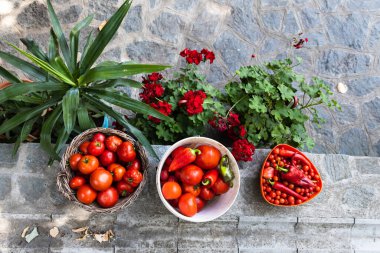 Organik, ev yapımı domatesler ve sepet ve kaplarda toplanan kırmızı biberler, yukarıdan görülüyor. Kırsal kesimde sebze üretimi.