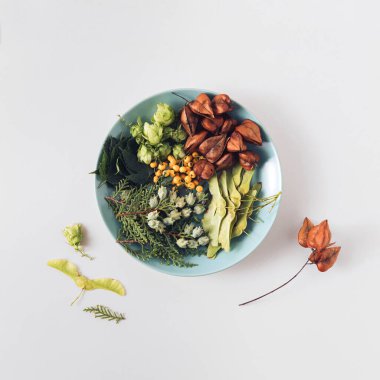 Renkli orman yaprakları ve meyvelerle dolu yuvarlak bir tabak. Sonbahar mevsimlik konsept düz bakteri yatıyordu. 