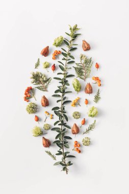 Küçük orman meyveleri ve yapraklarından yapılmış yaprak şekli. Sonbahar sezonu renk yaratıcı tasarımı. 