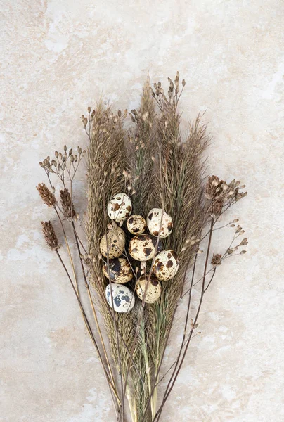 Pequenos Ovos Codorniz Manchados Aninhados Plantas Secas Decorativas Vista Cima — Fotografia de Stock