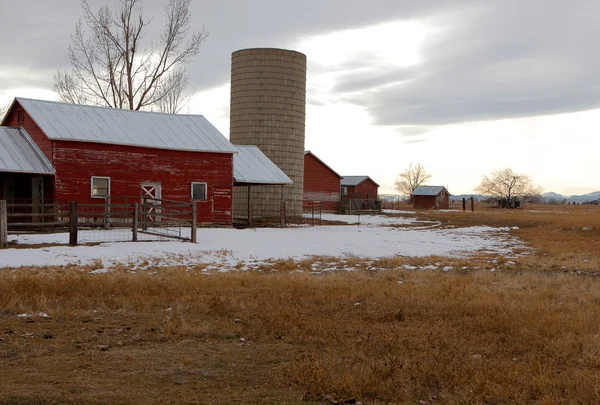 Fienile rosso in inverno in Colorado — Foto Stock