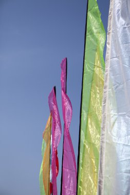 muliti renkli afiş plaj Festivali