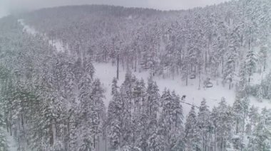 Kış çam ormanı. Kablolu araba halatı, boş koltuklar. Güzel bir dağ kayak merkezi. Hava aracı görüntüsü.