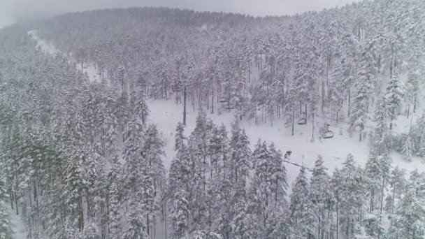 Χειμερινό Πευκοδάσος Απογείωση Τελεφερίκ Άδειες Θέσεις Όμορφο Χιονοδρομικό Κέντρο Αεροπλάνο — Αρχείο Βίντεο